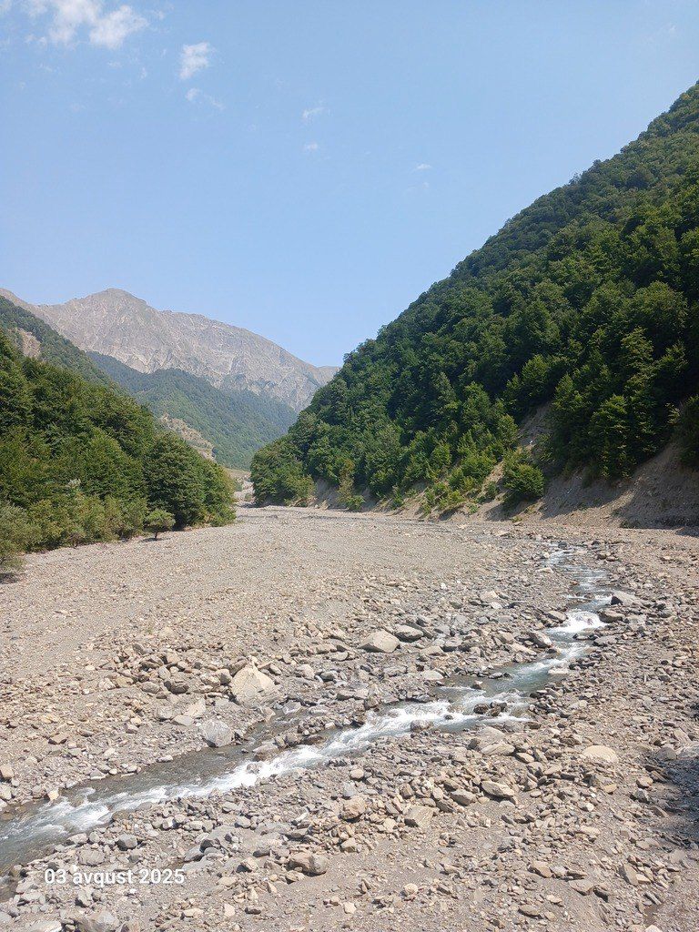 Həyət evi kirayə verilir, Qəbələ ş. — Daşınmaz əmlak, Qəbələ (5)