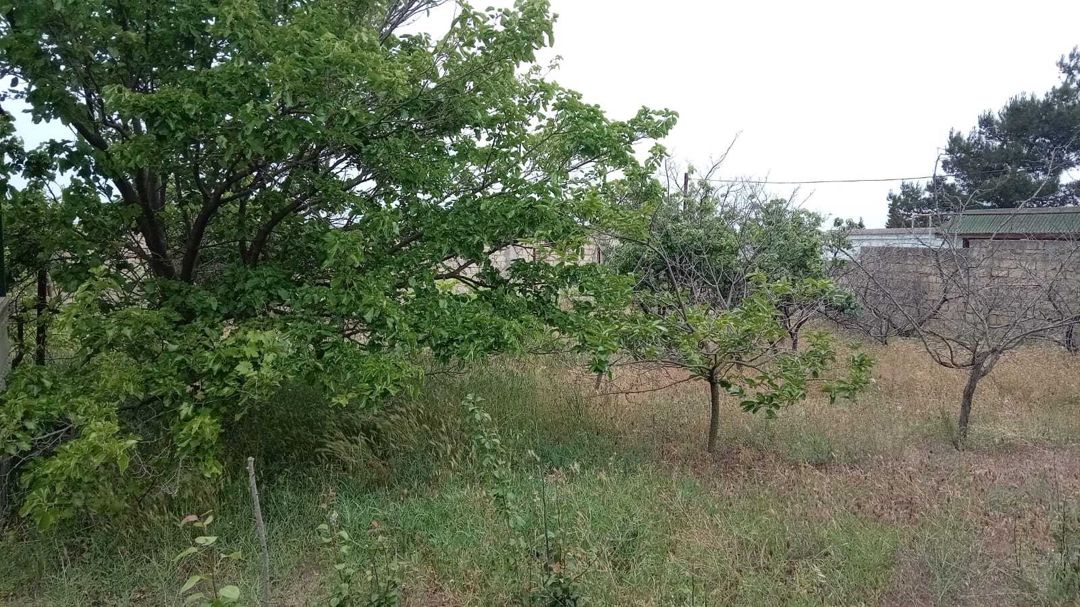 Satılır torpaq 5 sot — Torpaq, Bakı
