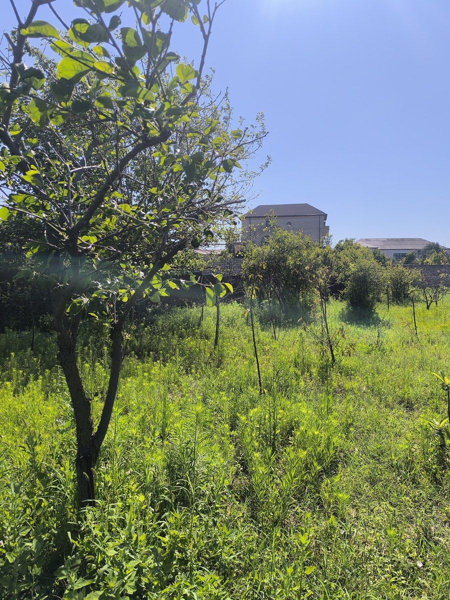 Satılır torpaq 4 sot — Torpaq, Bakı (3)