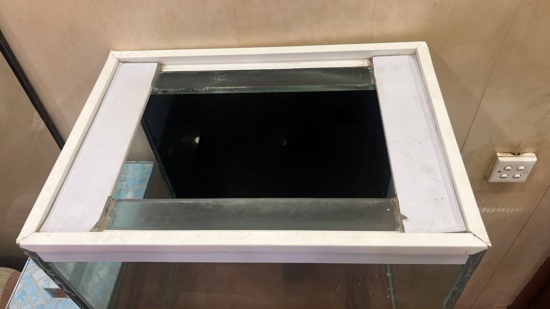 Akvarium — Akvariumlar və balıqlar, Bakı (2)