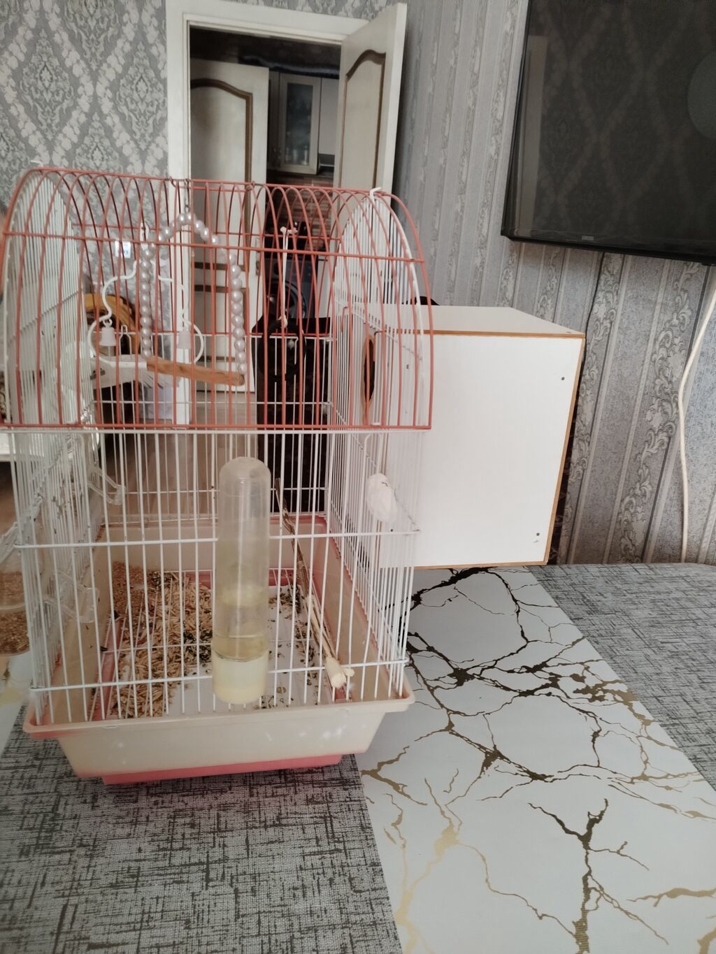 Dalğalı tutuquşular üçün qəfəs dəsti - Qövslü üst konstruksiyalı, ağ — Qəfəslər, Mehdiabad (3)