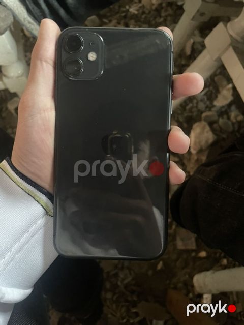 IPhone 11, Qara