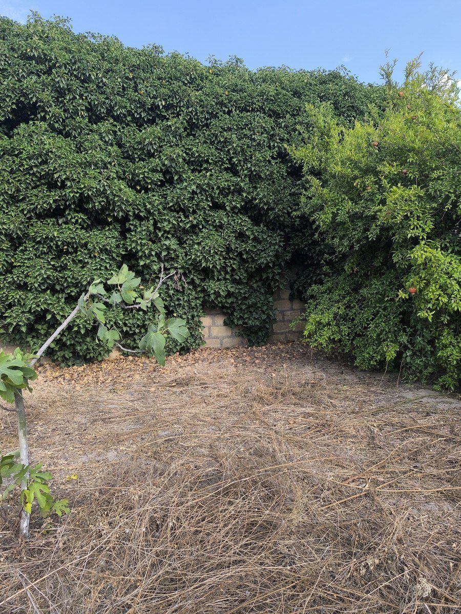 Satılır torpaq 2 sot — Torpaq, Bakı (6)