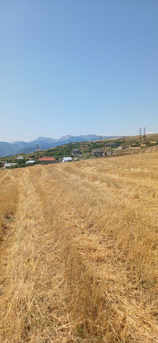 220 sot torpaq sahəsi, Şamaxı r. — Torpaq, Şamaxı (7)