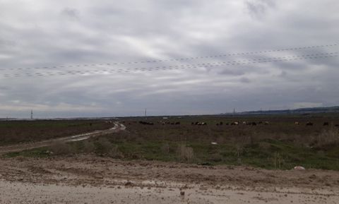 Satılır torpaq 2000 sot