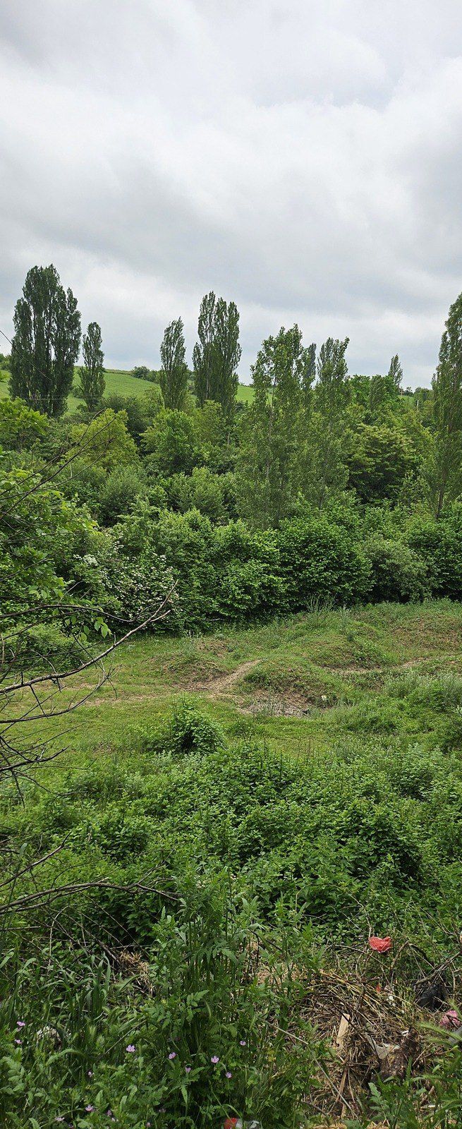 Satılır torpaq 12 sot — Torpaq, Qusar (4)