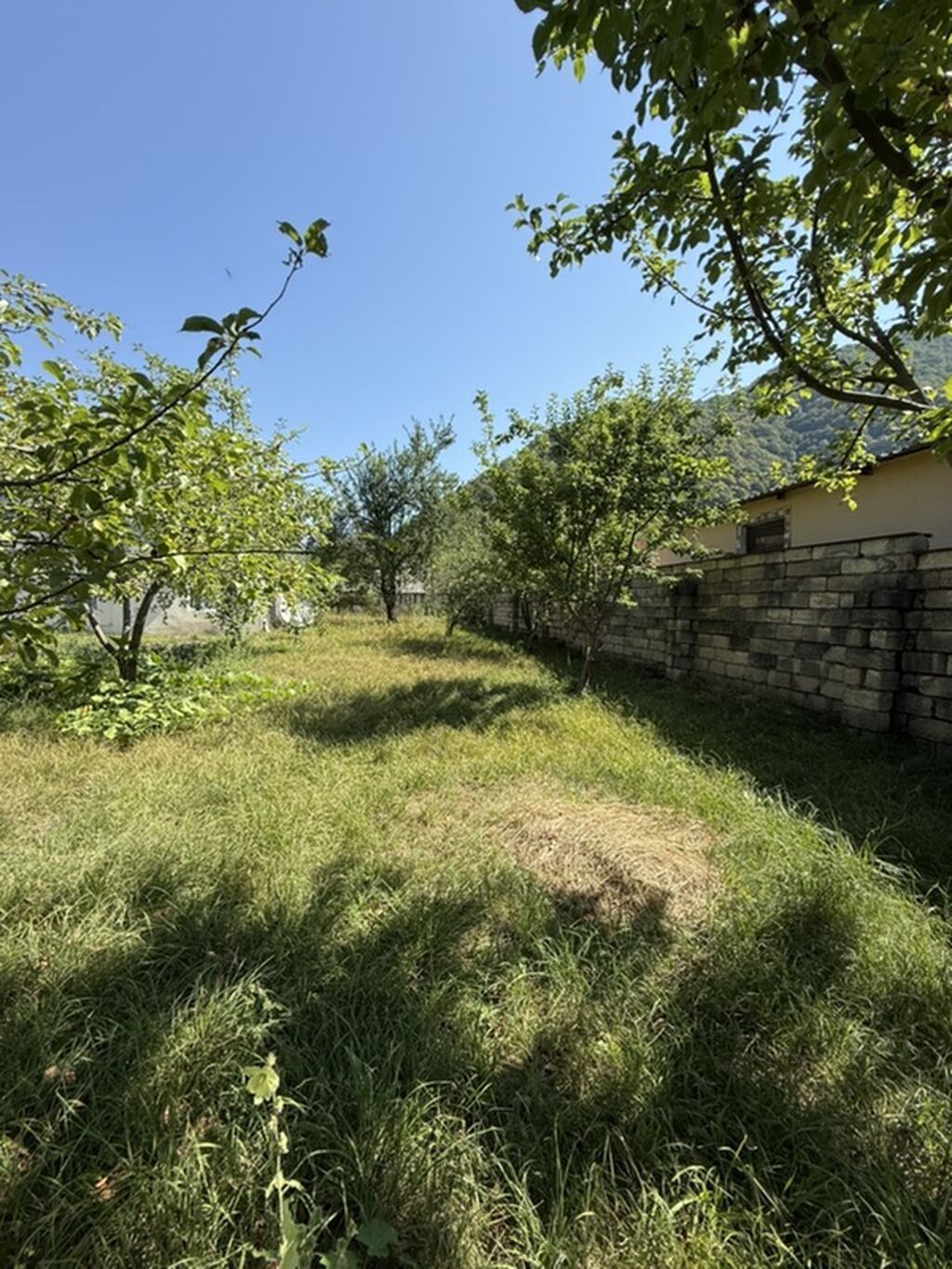 3 sot, Tikinti — Torpaq, İsmayıllı (3)