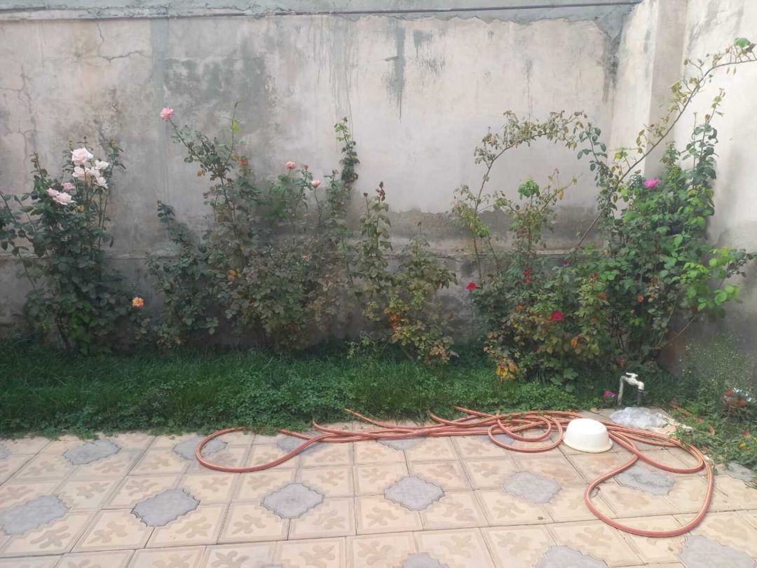 İcarəyə verilir 7 otaqlı həyət evi/bağ evi 170 m² — Ev, villa, Bakı (10)