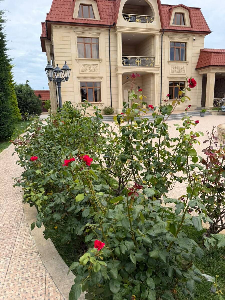 Satılır 7 otaqlı həyət evi/bağ evi 1000 m² — Ev, villa, Bakı (8)