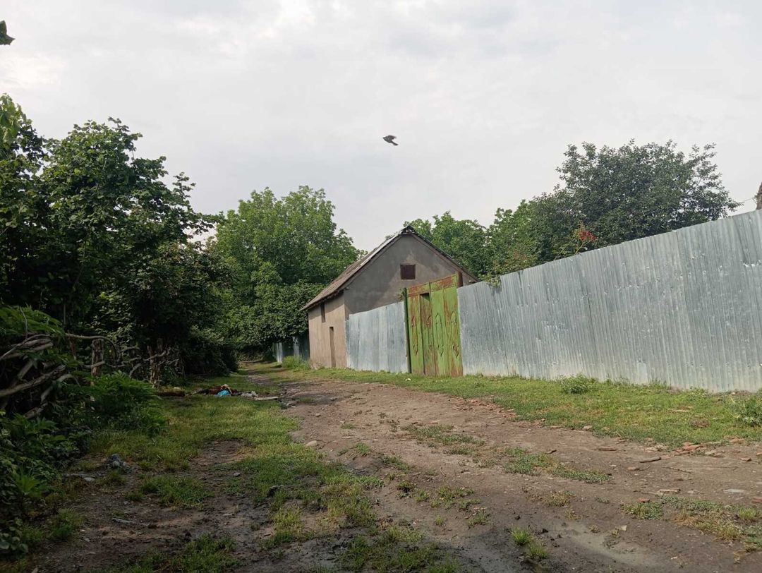 Satılır 4 otaqlı həyət evi/bağ evi 200 m² — Ev, villa, Oğuz (3)