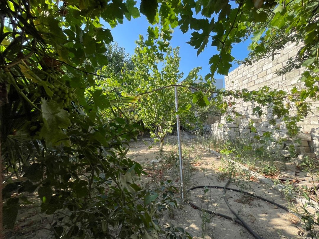 11 sot torpaq sahəsi, Şüvəlan qəs. — Torpaq, Bakı (9)