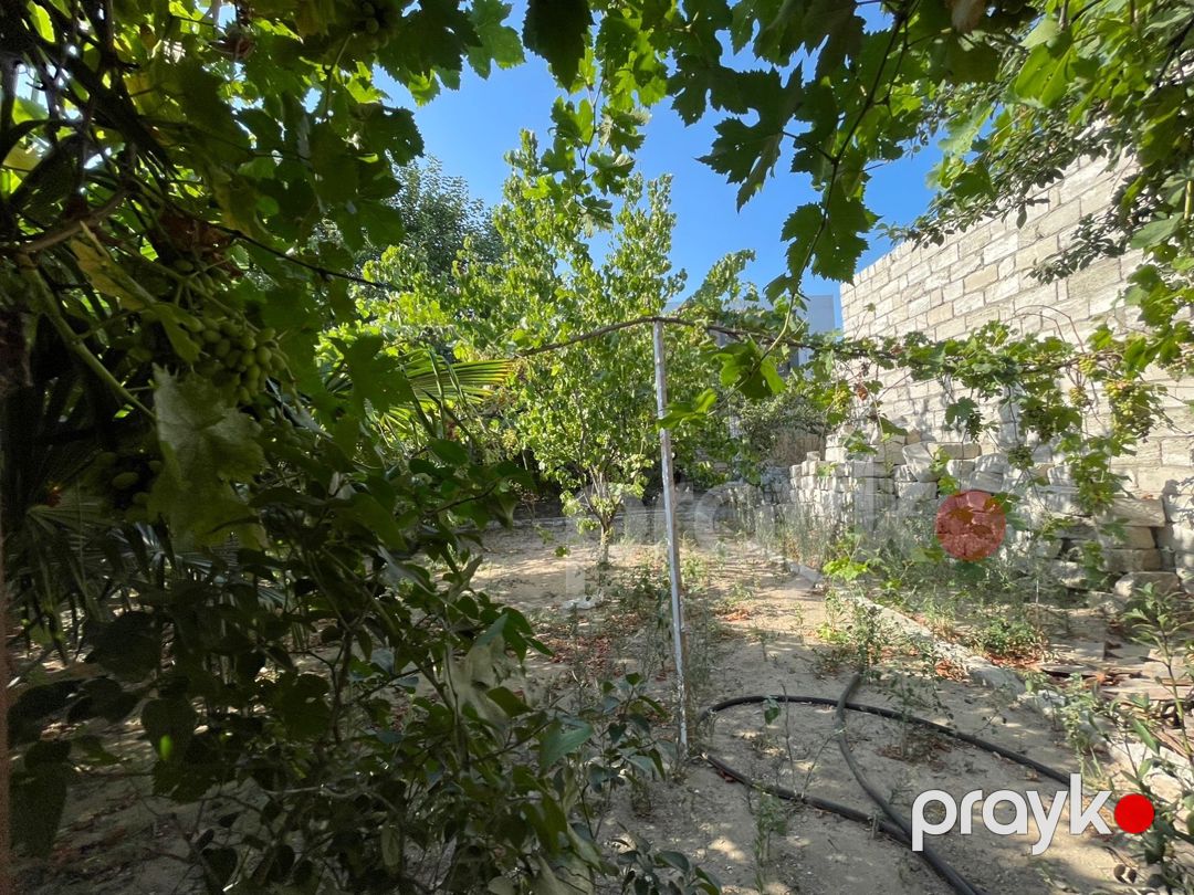 11 sot torpaq sahəsi, Şüvəlan qəs — Torpaq, Bakı (9)