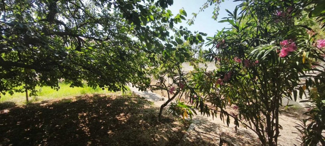 Satılır 3 otaqlı həyət evi/bağ evi 190 m² — Ev, villa, Bakı (4)