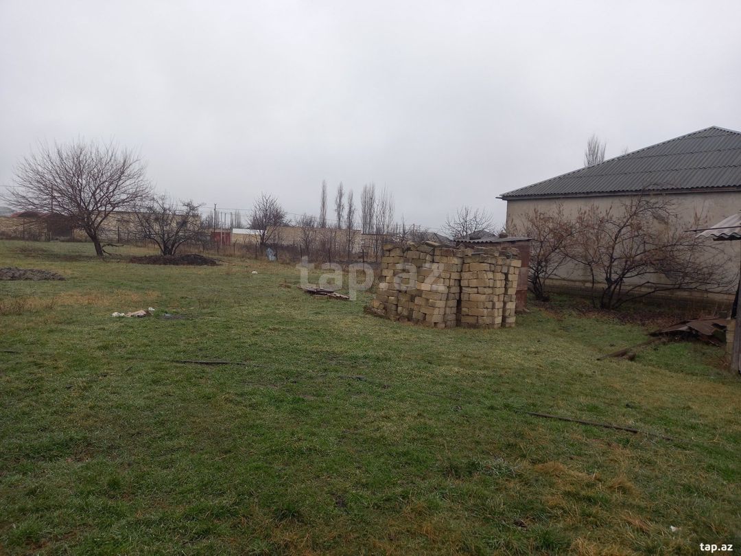 9 sot torpaq sahəsi, Quba r. — Torpaq, Quba (6)