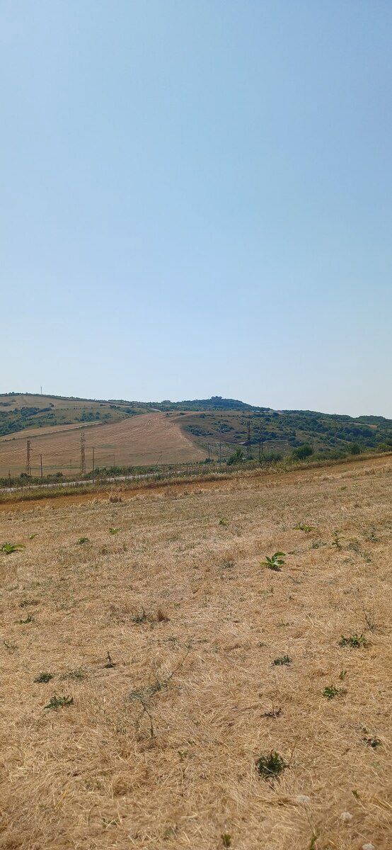 220 sot torpaq sahəsi, Şamaxı r. — Torpaq, Şamaxı (4)