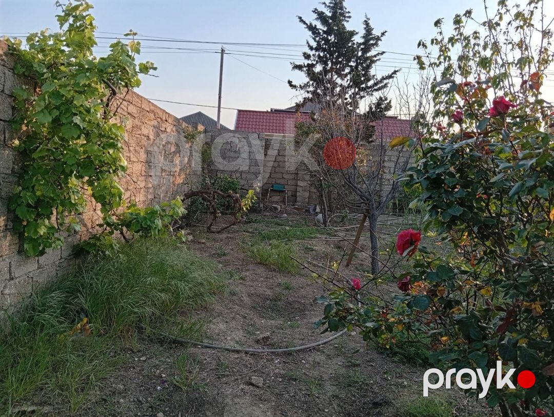 Satılır torpaq 6 sot — Torpaq, Bakı (8)
