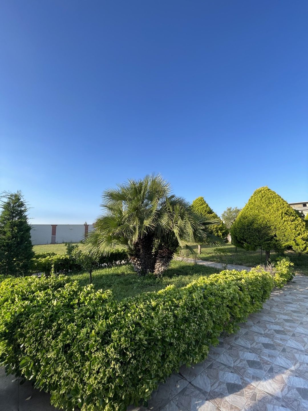 İcarəyə verilir 8 otaqlı həyət evi/bağ evi 800 m² — Ev, villa, Bakı (9)