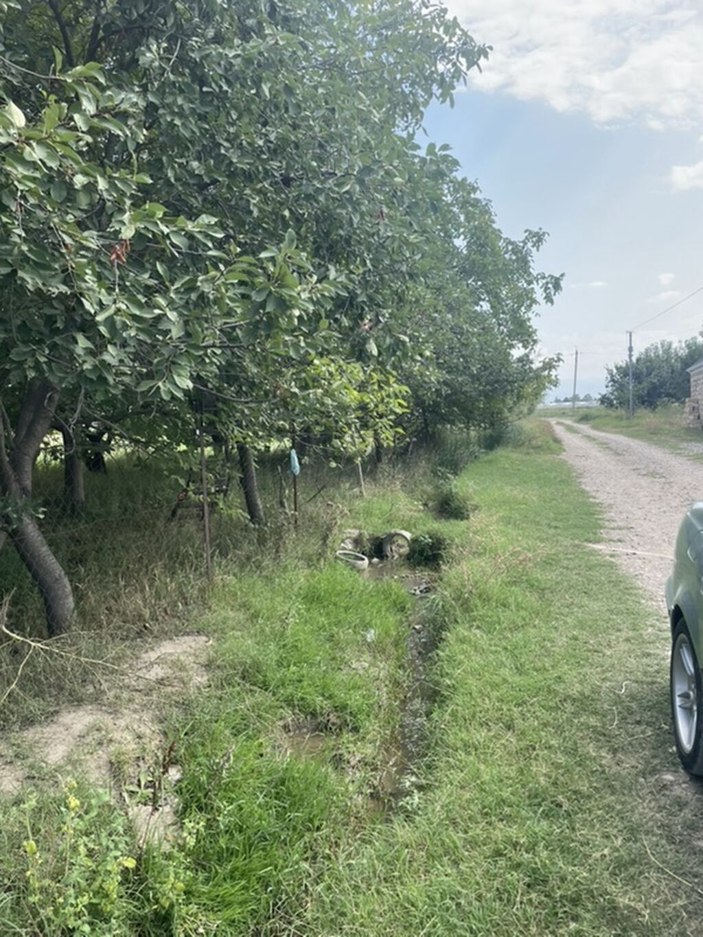 Kənd təsərrüfatı