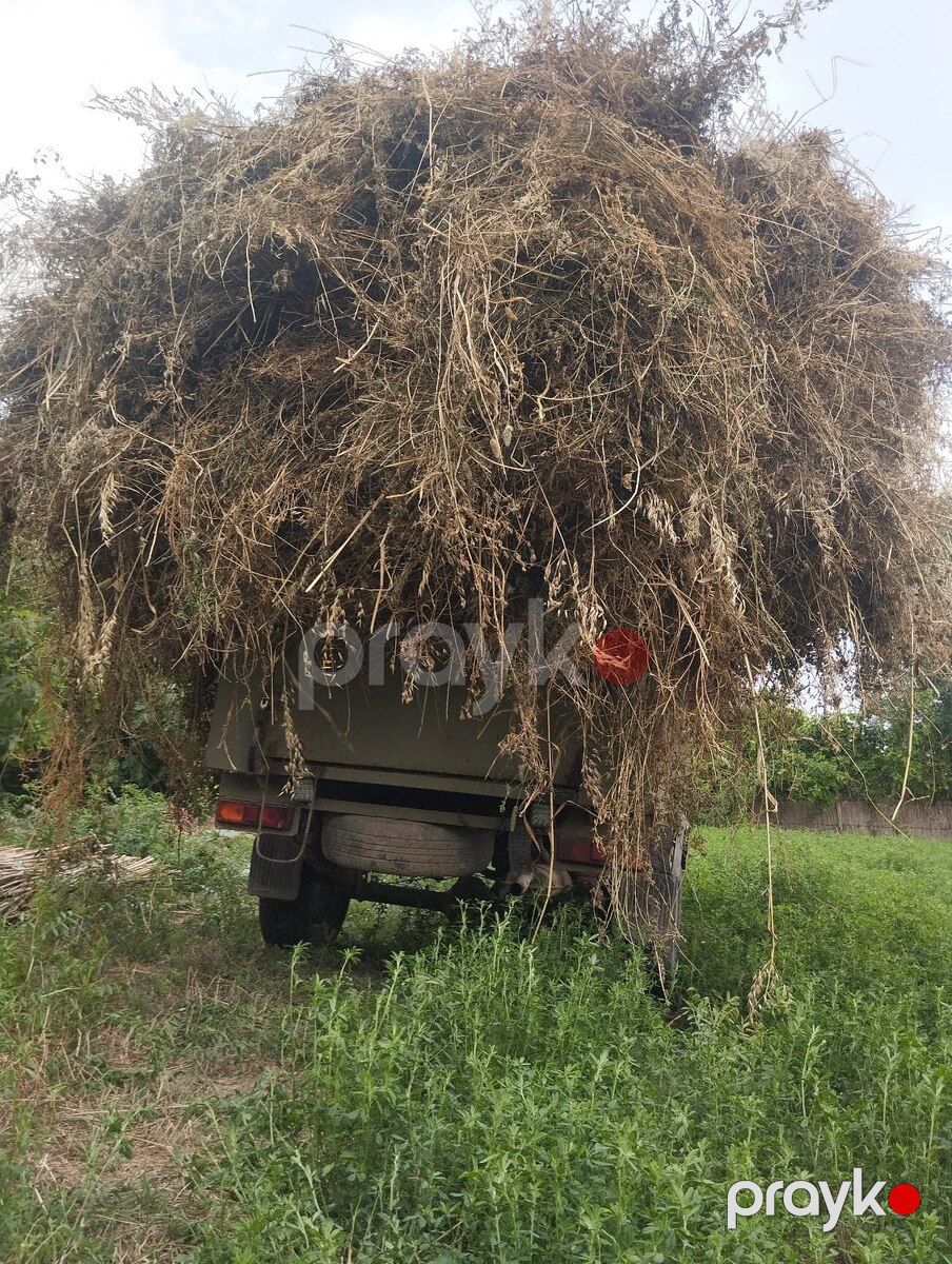 Motosiklet, 2022 il — Motosiklet və mopedlər, Bakı (2)