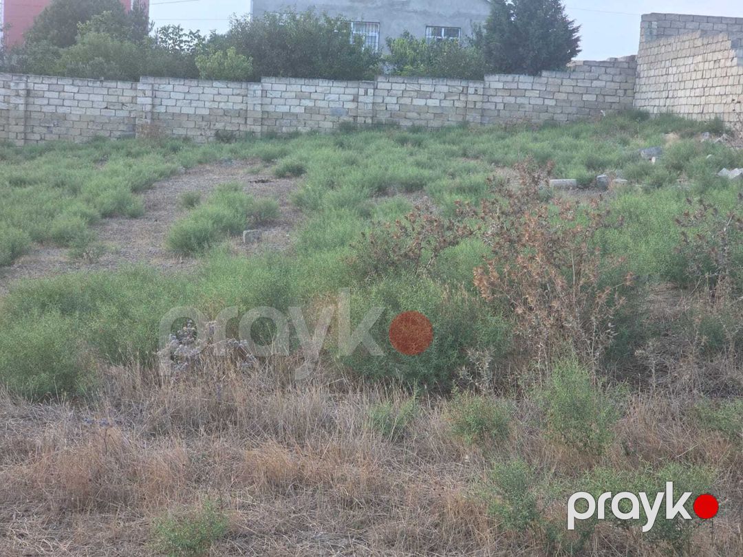 Satılır torpaq 8 sot — Torpaq, Bakı (2)