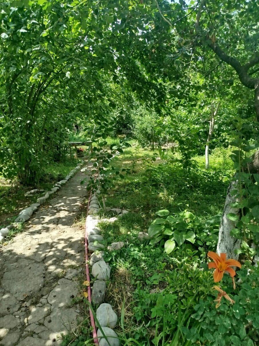 Bağ evi kirayə verilir, Qusar r. — Daşınmaz əmlak, Qusar (8)