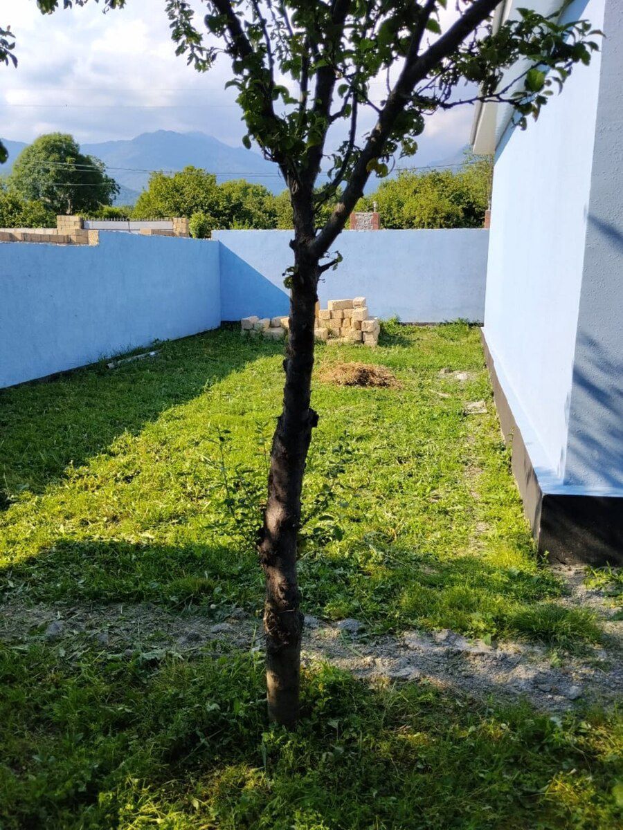 Həyət evi kirayə verilir, Vəndam qəs. — Daşınmaz əmlak, Qəbələ (12)