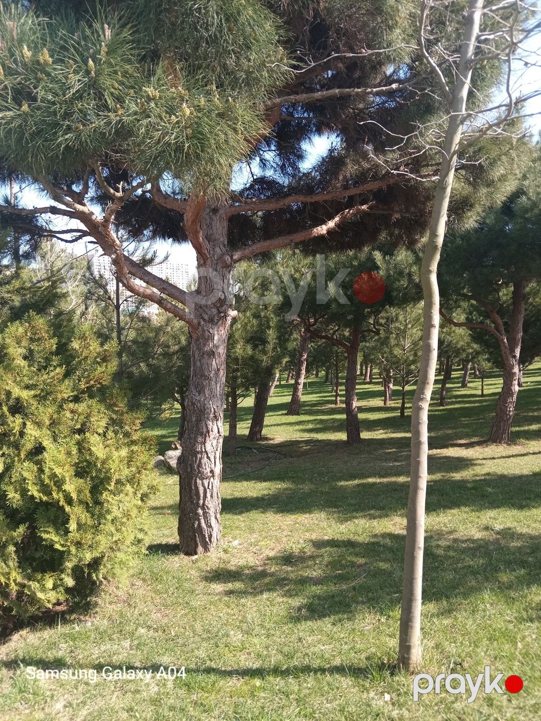 Satılır 2 otaqlı yeni tikili 55 m² — Mənzil, Bakı (4)