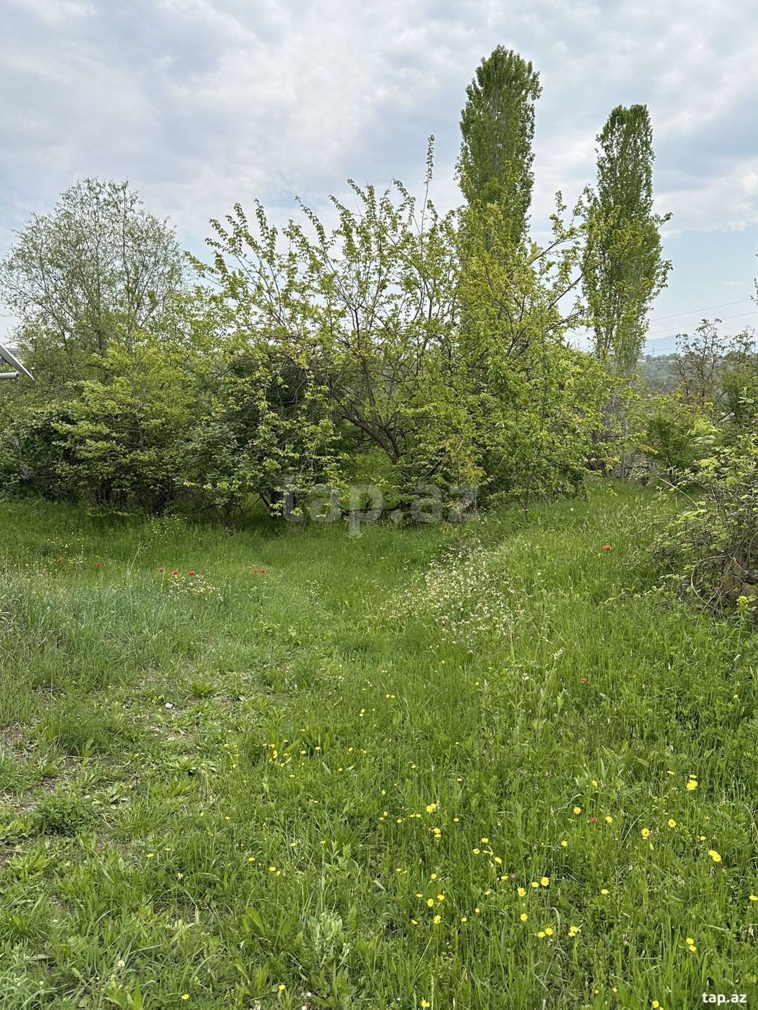 31 sot torpaq sahəsi, Gəncə ş. — Torpaq, Göygöl (7)