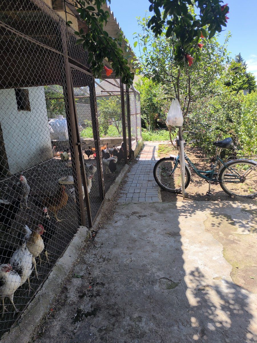 Satılır 2 otaqlı həyət evi/bağ evi 80 m² — Ev, villa, Bakı (9)