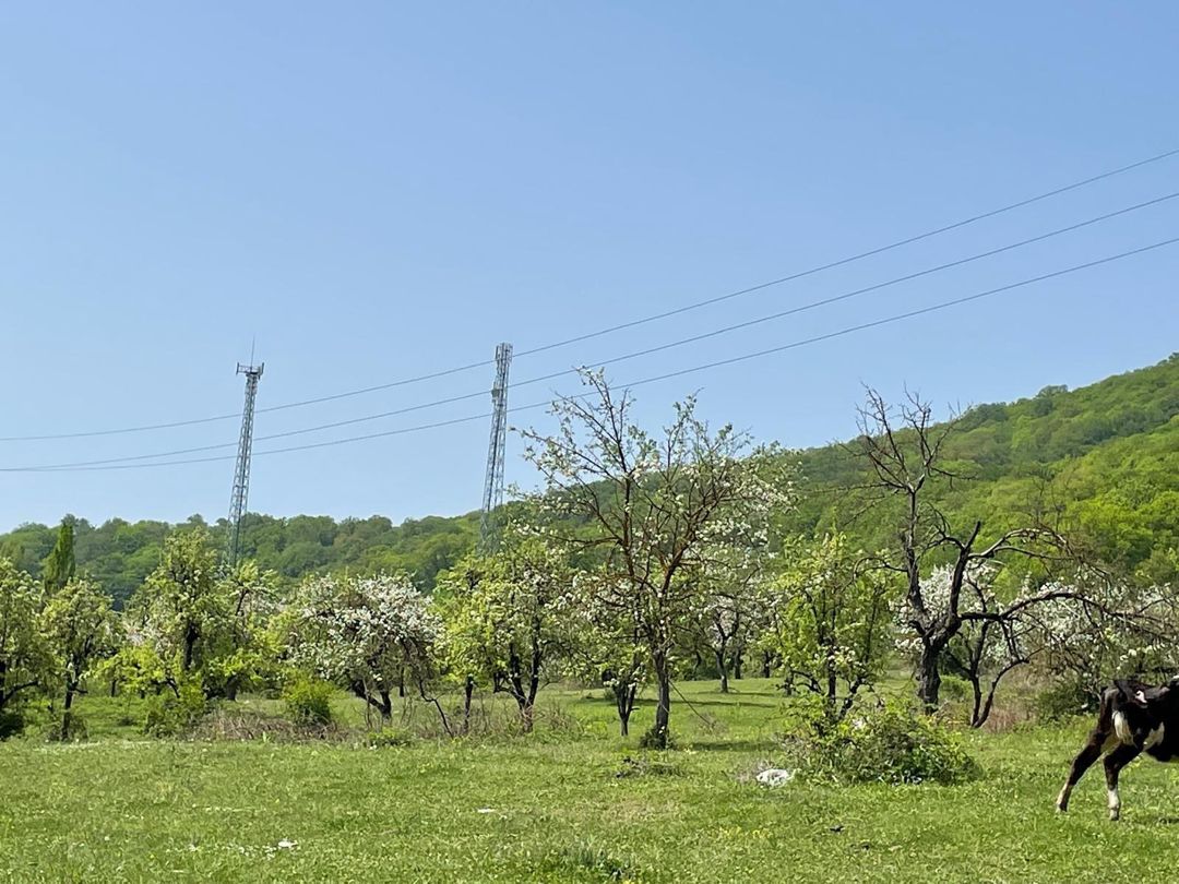 40 sot torpaq sahəsi, Quba r. — Torpaq, Quba (8)