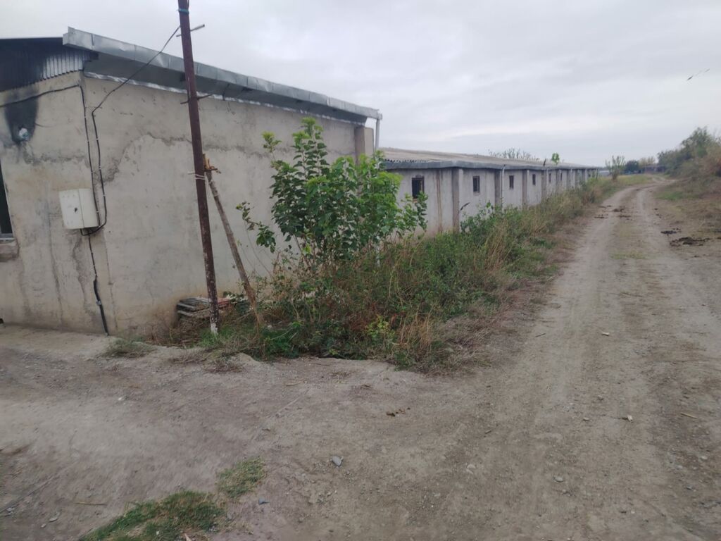 Ferma mal bazarina bir kilometr mesafede yerlesirqarabag su — Daşınmaz əmlak, Bərdə