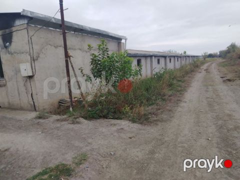 Ferma mal bazarina bir kilometr mesafede yerlesirqarabag su