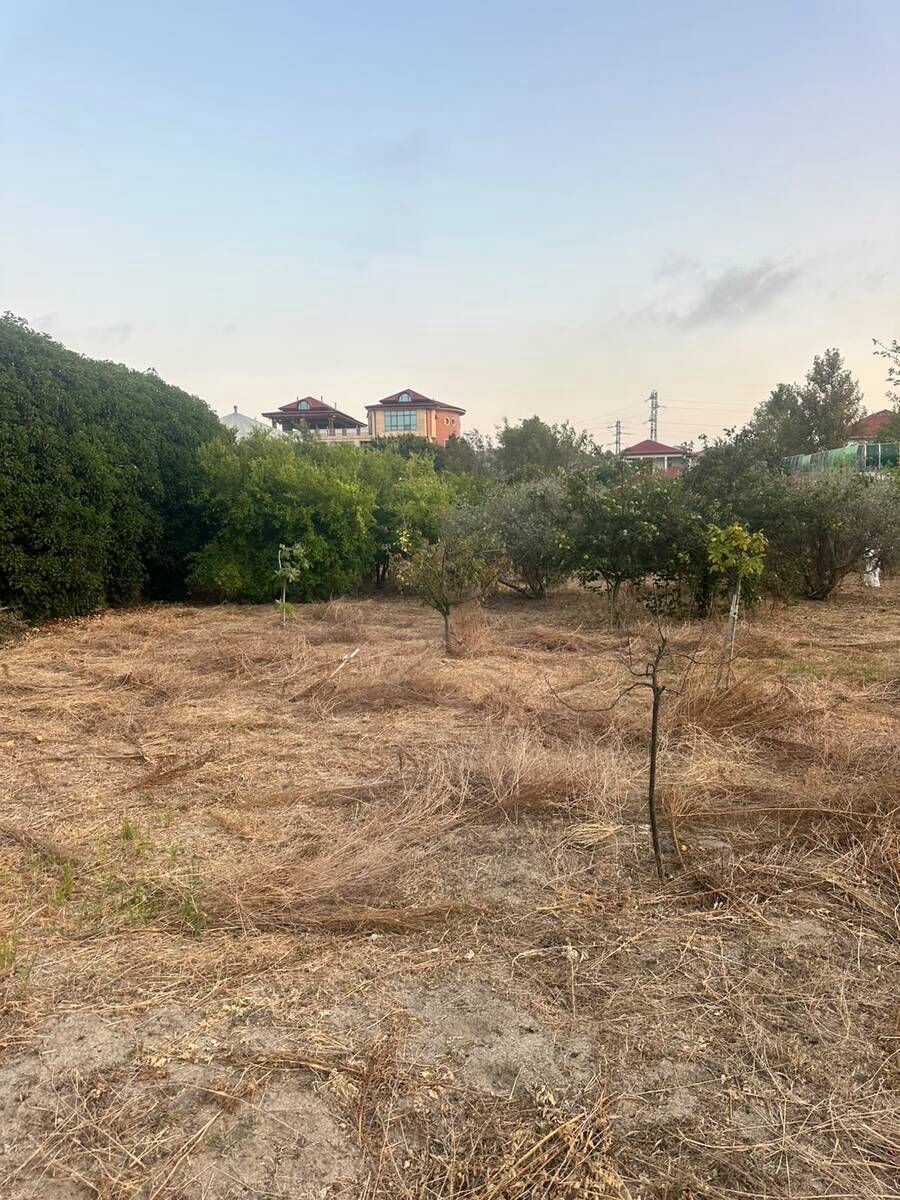 Satılır torpaq 2.5 sot — Torpaq, Bakı (3)