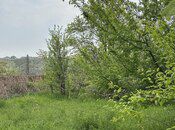 31 sot torpaq sahəsi, Gəncə ş. — Torpaq, Göygöl (8)