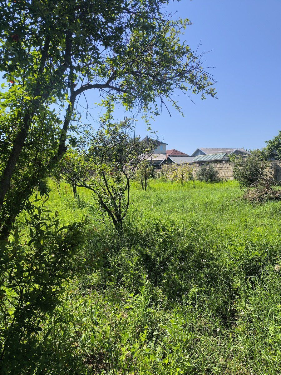 Satılır torpaq 4 sot — Torpaq, Bakı (4)