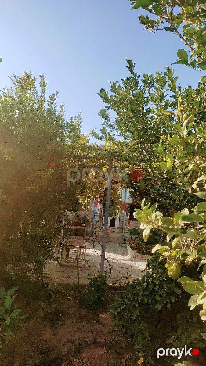 Satılır torpaq 4.8 sot — Torpaq, Bakı (6)