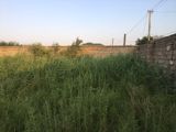 25 sot torpaq sahəsi, Kürdəxanı qəs. — Məmmədov Rəhim