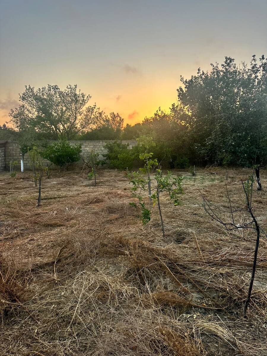 Satılır torpaq 4 sot — Torpaq, Bakı (7)