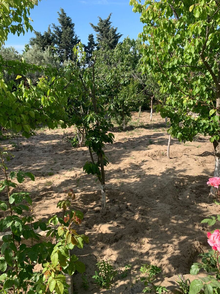 Satılır torpaq 12 sot — Torpaq, Bakı