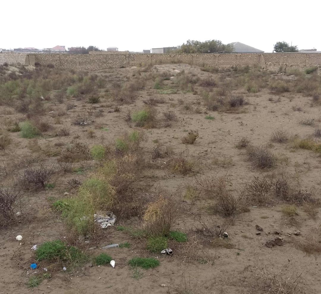 Satılır torpaq 22 sot — Torpaq, Bakı (3)