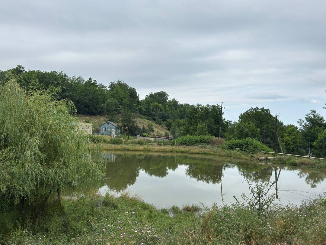 12 sot torpaq sahəsi, Avaran kəndi — Torpaq, Qusar