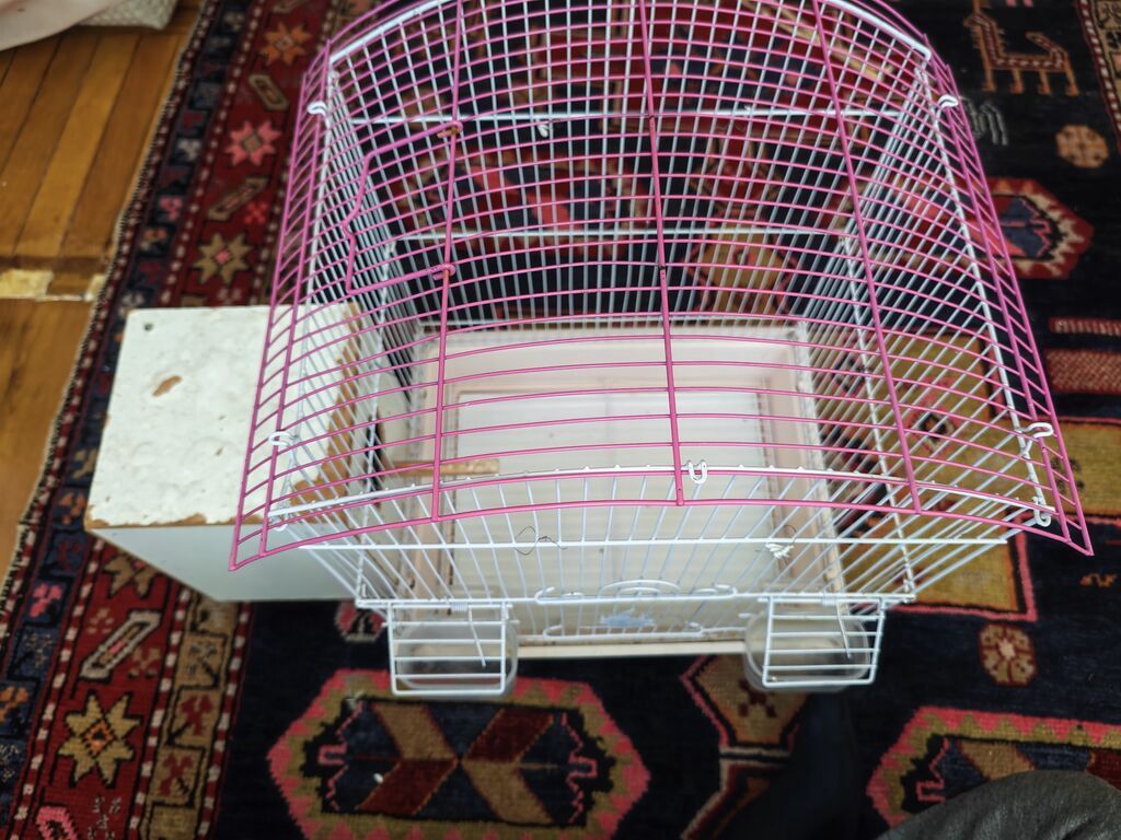 Quş qəfəsi və yuvalıq dəsti - Material: metal barmaqlıqlar, plastik — Qəfəslər, Bakı (3)