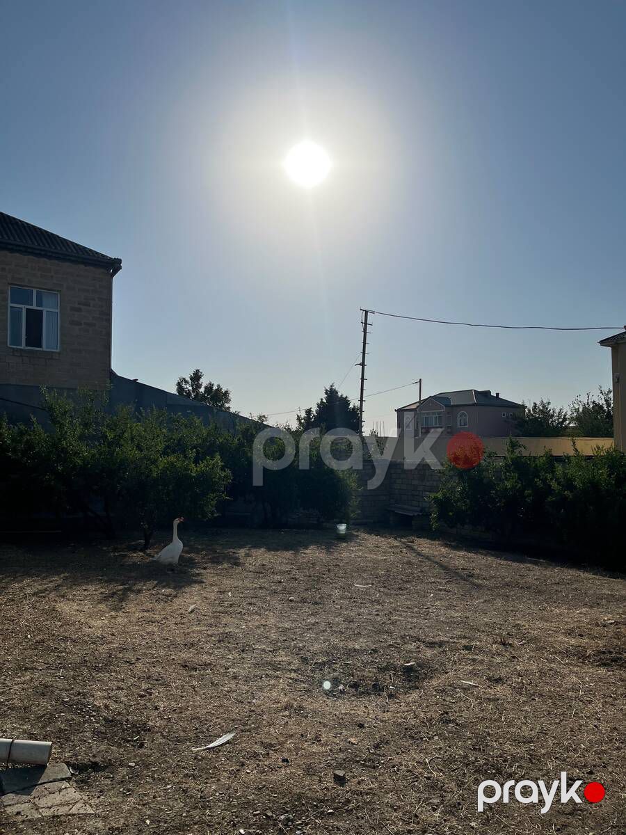 Satılır torpaq 10 sot — Torpaq, Bakı (4)