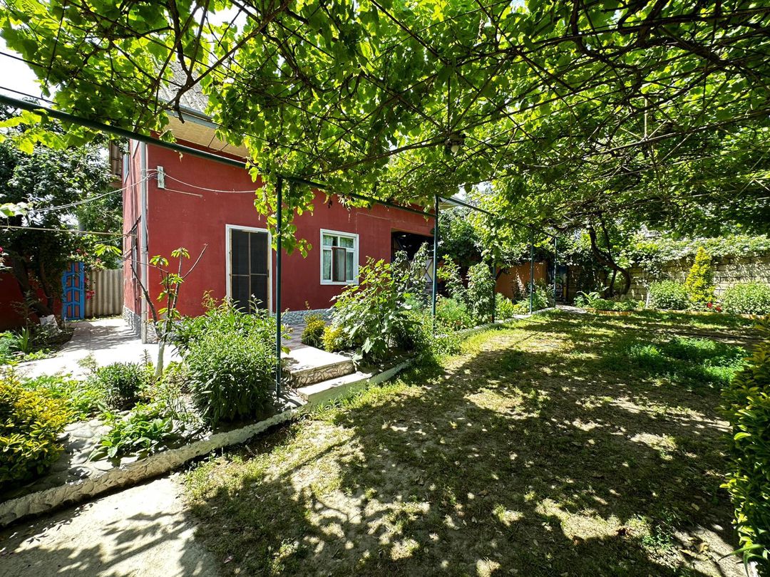 Bağ evi kirayə verilir, Nabran r. — Ev, villa (2)