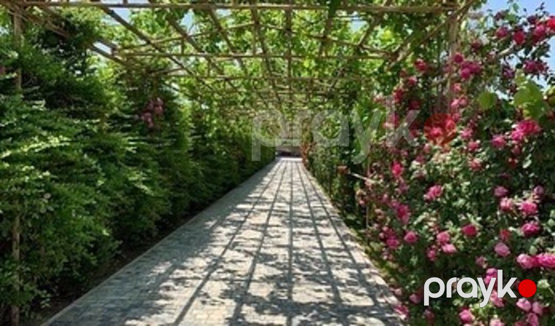 İcarəyə verilir 6 otaqlı həyət evi/bağ evi 550 m² — Ev, villa, Bakı (10)