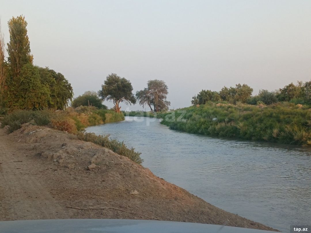 6500 sot torpaq sahəsi, Sabirabad r. — Torpaq, Sabirabad (3)