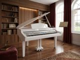 Elektro royal "Medeli Grand 510 GW" — ProMusic