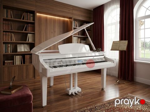 Elektro royal "Medeli Grand 510 GW" — Bakı