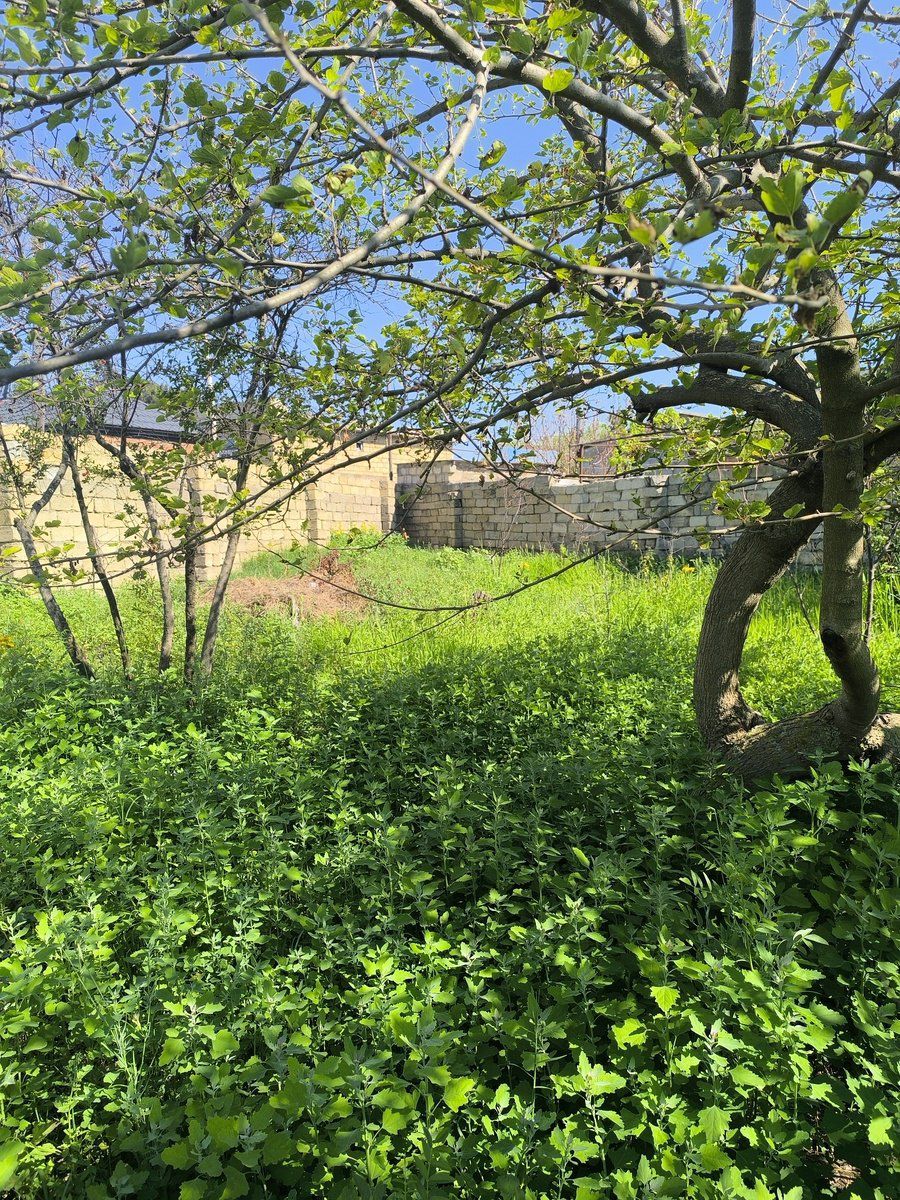 Satılır torpaq 4 sot — Torpaq, Bakı (6)
