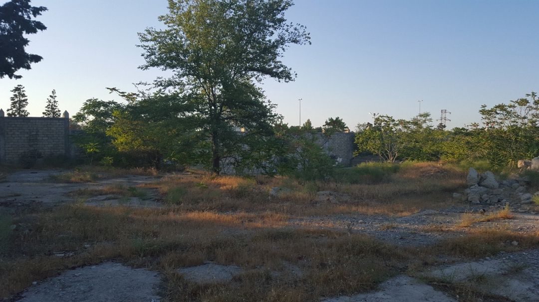 Satılır torpaq 372 sot — Torpaq, Bakı (3)